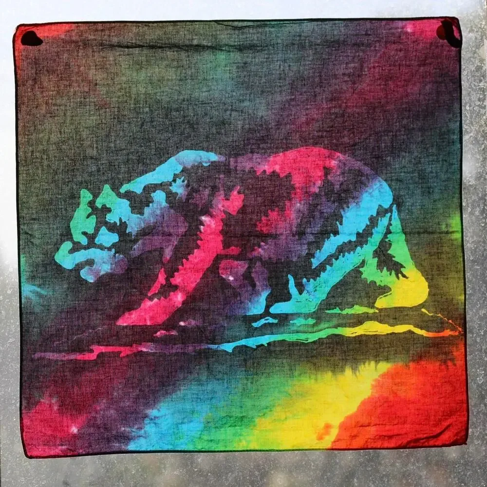 Bandana Handcrafted California Bear SoCal Hippie Rainbow Colorful Head Cover